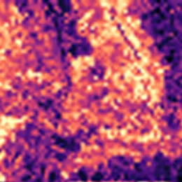 Δ features, the change in encoder features between dates: bright over the burned centre and hillside, dark over intact houses at the edges.